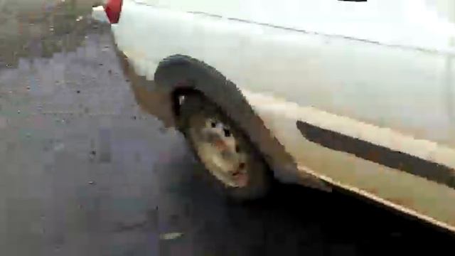 Авария и мощная дуга на ПС✊⚡️ смотреть онлайн