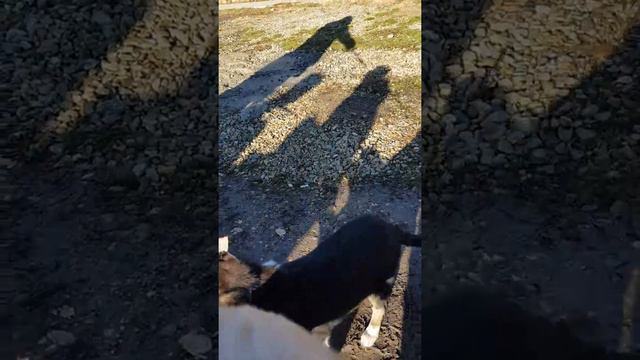 День волонтера. 7 декабря 2019 г. смотреть онлайн