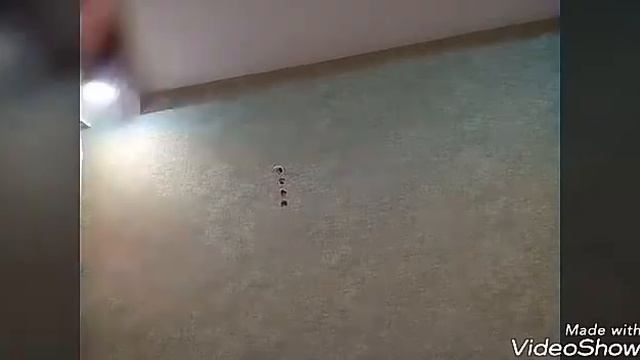 ЧТО ПРОИСХОДИТ У МЕНЯ В ГОЛОВЕ 1 ВИДЕО НА ЭТОМ КАНАЛЕ!!!! смотреть онлайн