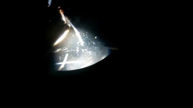 Выставка "Зоопарк под микроскопом" на территории Нац.Экспоцентра Украины. Киев, июль 2019 смотреть онлайн