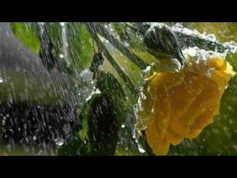 Синие Дожди. Как Вы Духовно Растёте. онлайн расклад смотреть онлайн