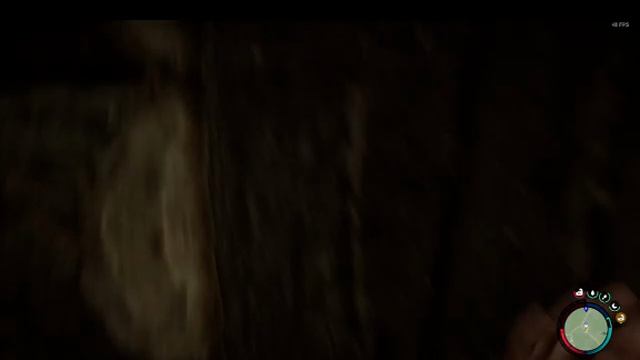 Sons Of The Forest смотреть онлайн