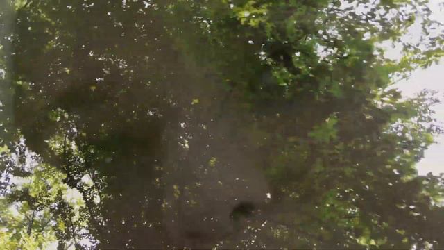 ОДИНОКАЯ?  /  Lonely?