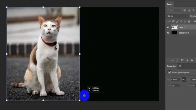 Simple image editing #AU42 #42 #Simple image editing with Photoshop 2022 смотреть онлайн