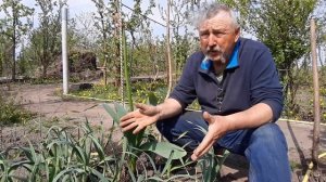 Что такое сухой полив