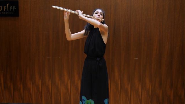 G. Ph. Telemann: Fantasia n.6 for solo flute смотреть онлайн