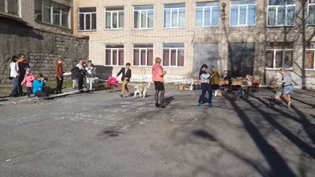 Сатка 30.04.16 БЭСТ Щенки смотреть онлайн