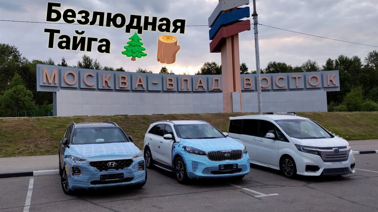 Перегон авто из Владивостока через Тайгу    #автоизкореи #автоперегон #kiasorento #hyundaisantafe