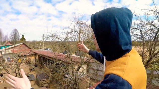 Помощь приюту Веретье смотреть онлайн