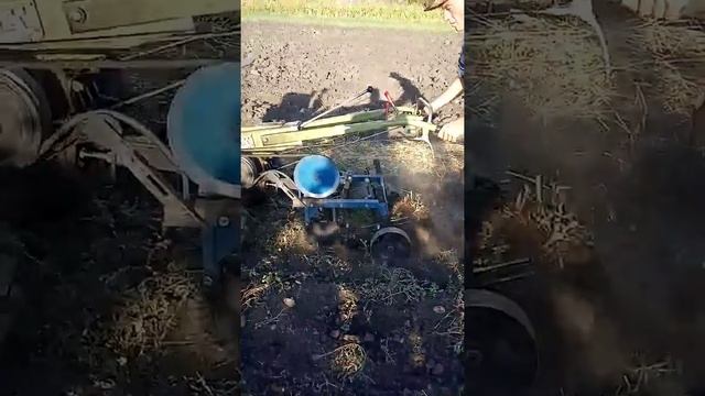 Выкапывание картошки мотоблоком смотреть онлайн