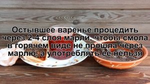 КАК ПРИГОТОВИТЬ ВАРЕНЬЕ ИЗ СОСНОВЫХ ШИШЕК? Вкусное и полезное варенье из сосновых или еловых шишек
