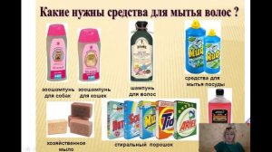 Уход за волосами  Урок СБО  6 г