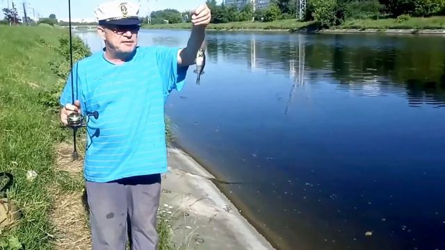 Окунь Отводного канала. Южное Тушино. 20.06.2021 смотреть онлайн