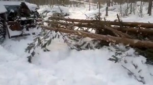 трелевка леса  МТЗ-82