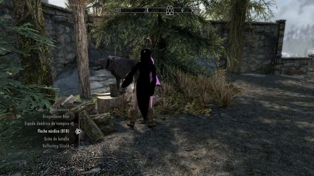 Skyrim # Grupo de combate (2) смотреть онлайн