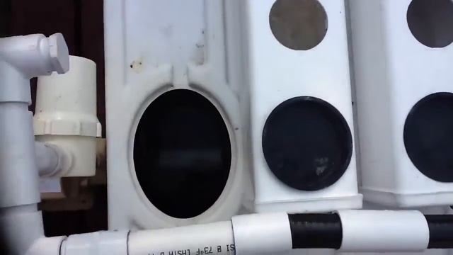 AeroFlo 60 GHE Аэро гидропонная система смотреть онлайн