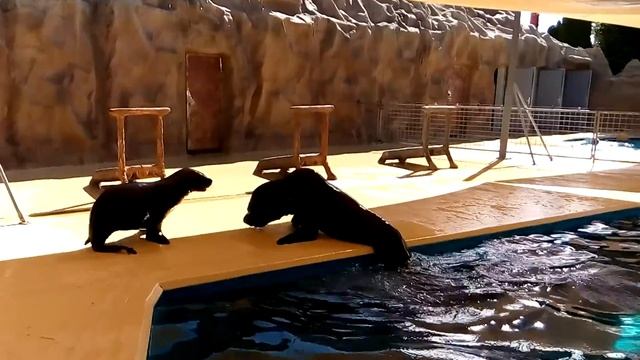 Парк швейцария(7) смотреть онлайн