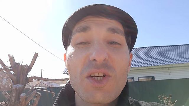 Закон компенсании.Щедрость ведёт к нужде?Плавники горбатого кита. смотреть онлайн