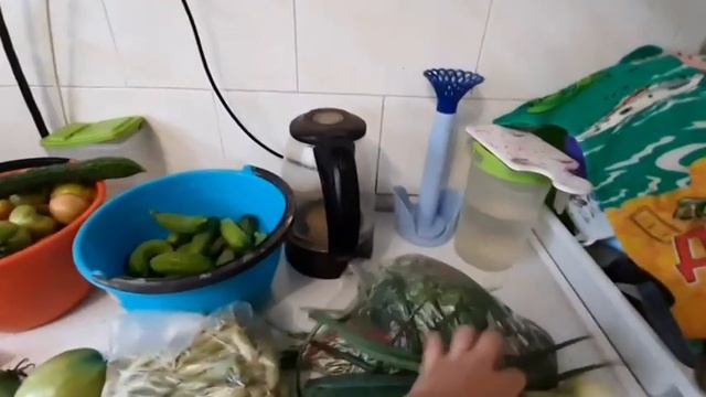 Делаю заготовки🥒🍅 мой урожай на 29.07.2021☀️ смотреть онлайн