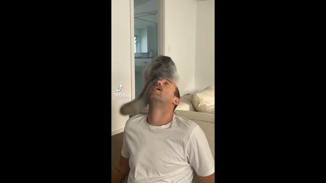 ПРИКОЛЫ В ТИК ТОК 2021, ЧУДИКИ, ЛУЧШИЕ ПРИКОЛЫ, Top TikTok 18+ №38 смотреть онлайн