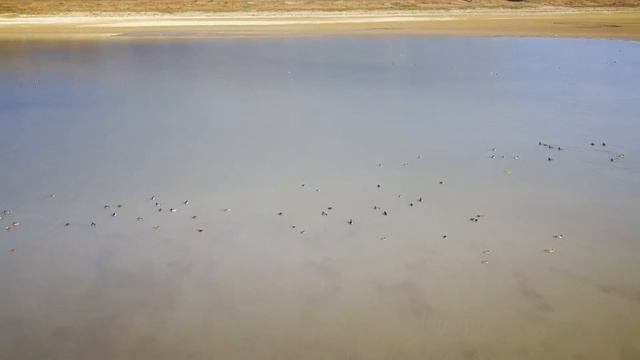 Dji Spark Session - Grosbois / Bourgogne - Automne 2017 смотреть онлайн