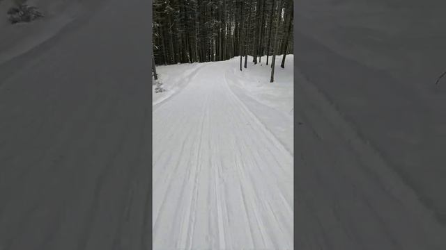 Прогулка на лыжах по зимнему лесу Город Г. НЫТВА смотреть онлайн