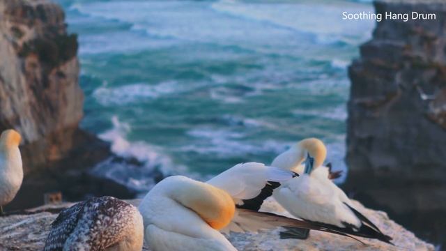 Relaxing Hang Drum – невероятная сила для восстановления энергии тела смотреть онлайн