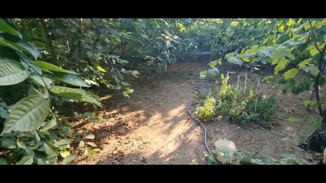 Участок Казачья Дача у моря смотреть онлайн