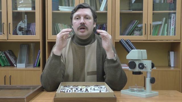 Беспозвоночные ВАО 2021 Часть 1 смотреть онлайн