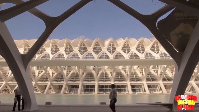 Valencia-жизнь и отдых. Валенсия – яркая, солнечная.