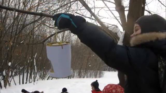 Акция Помоги птицам зимой! смотреть онлайн