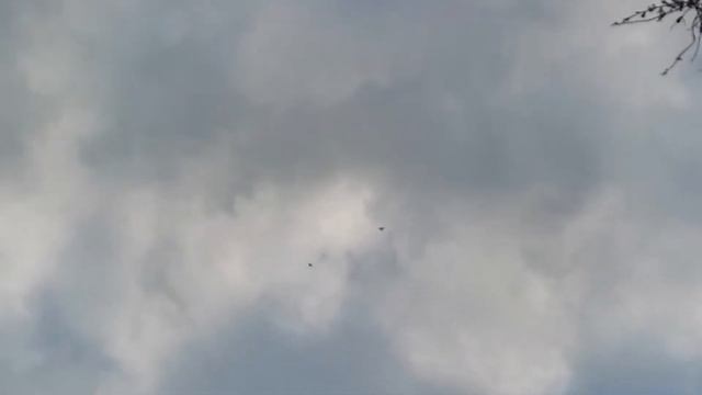 Утренняя тренировка бакинцев 26.04.2020г. Всех с праздником Красная горка!!! смотреть онлайн