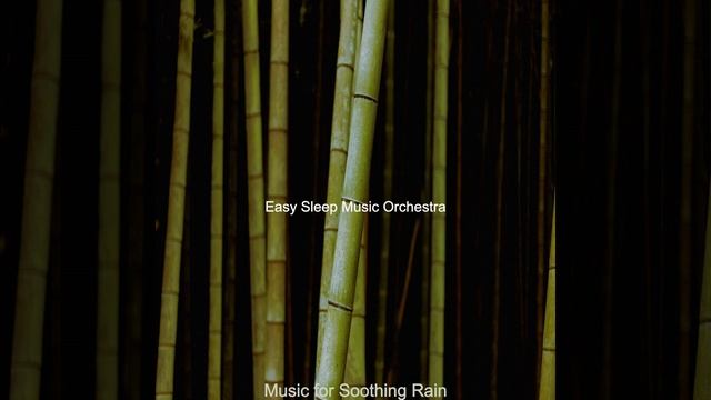 Groovy Music for Soothing Rain смотреть онлайн