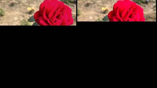 Redmi Note 12 Pro Plus VS Google Pixel 6A Camera Comparison смотреть онлайн