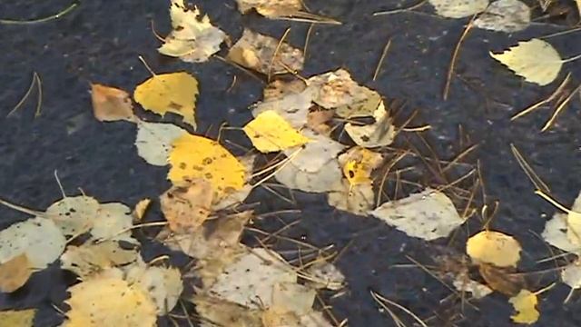 Мафик - Близкие души