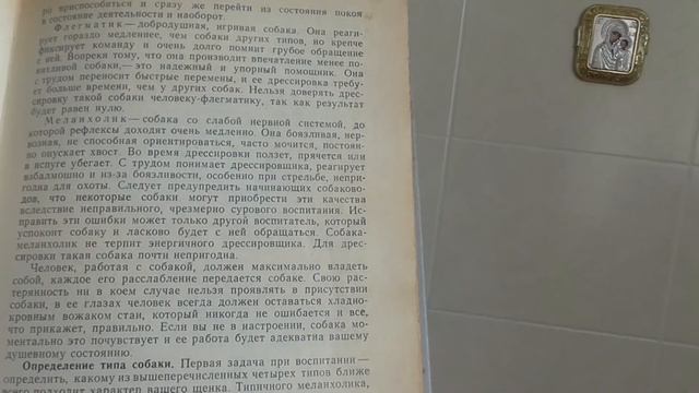 Норные собаки (Ягдтерьер) | Характеры собак смотреть онлайн