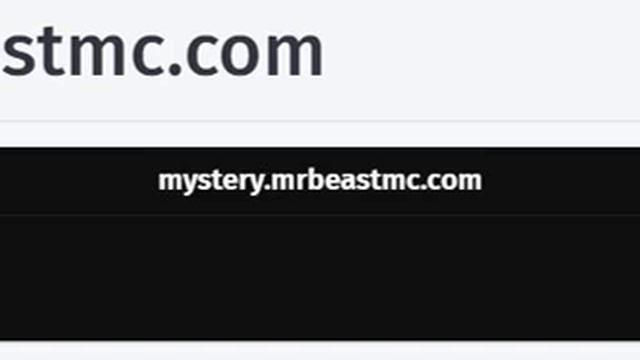 So I Found Mr Beast Gaming's Minecraft IP address...... смотреть онлайн