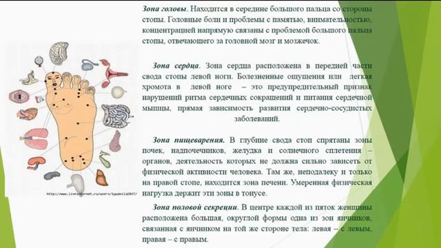 Биологически активные точки   точки долголетия