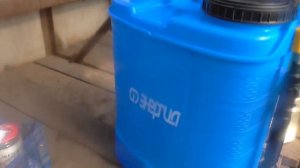 Обработка огурцов фунгицидом и стимулятором роста