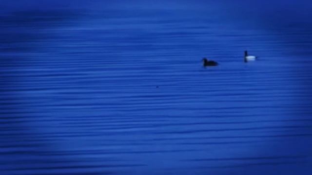 Медитация. Спокойный сон. Умиротворение. Я - Космос. смотреть онлайн