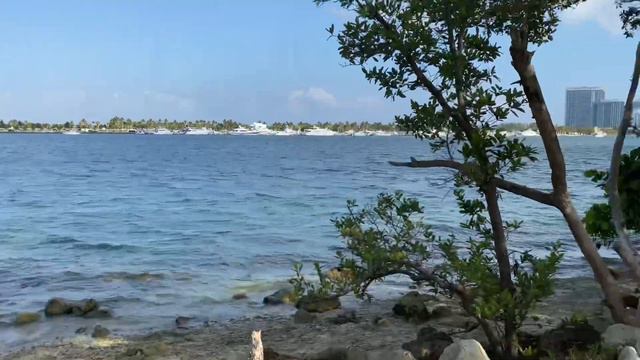 🔴 и не ПОДОЗРЕВАЛА 🔴 грядущее СЧАСТЬЕ СВОБОДЫ Miami shark attack VAN LIFE STYLE 19.03.2021 смотреть онлайн