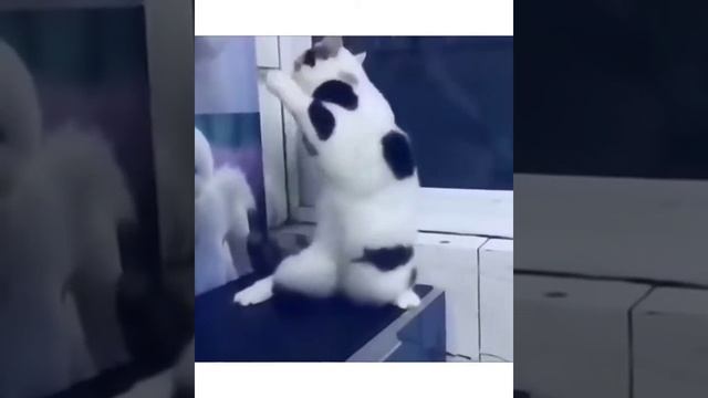 Мужиков надо любить смотреть онлайн