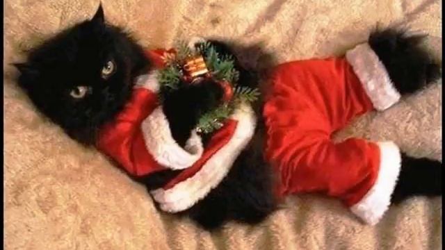 На Рождество Песня - For Christmas Song смотреть онлайн