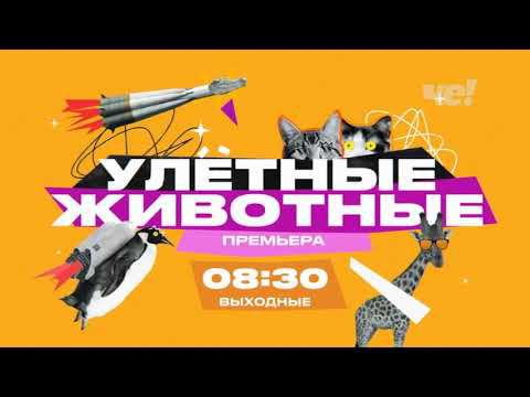 Рекламный блок ЧЕ 25.05.2024 смотреть онлайн