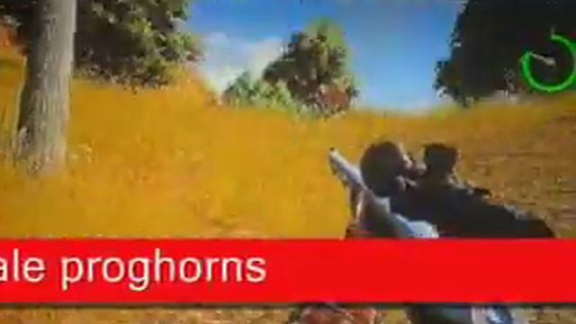 cabelas outdoor adventures-female proghorns смотреть онлайн