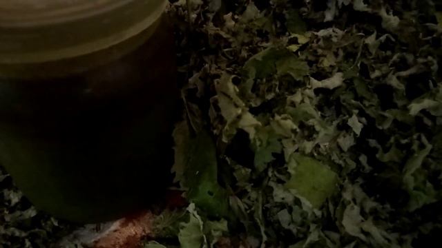 Преобразование волос в процессе экспериментов