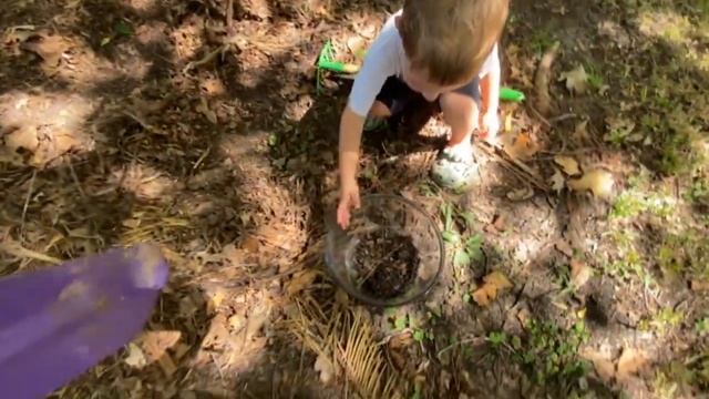 BUG HUNT for REAL Bugs! COCOON, Beetles, Roly Polys, EARWIGS, Spiders, Moth, WORMS & MORE for KIDS! смотреть онлайн