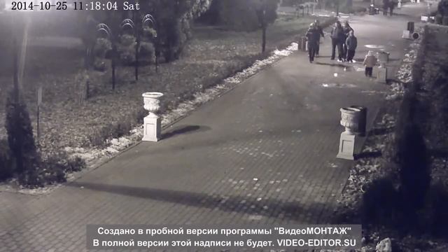 Быдлосемейка в парке Л.Н.Толстого. г. Химки смотреть онлайн