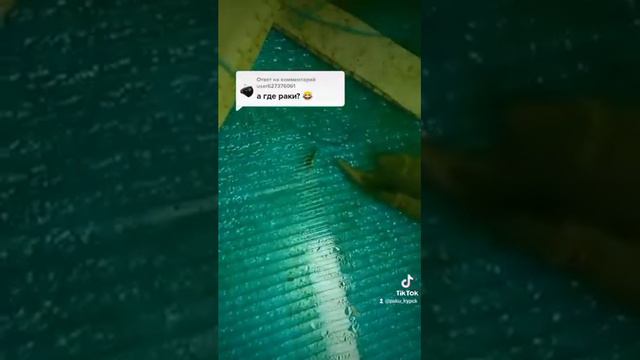 спустя 11 месяцев, ни куда не делся, буду теперь выкладывать видео смотреть онлайн