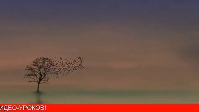 Медитации Прощения смотреть онлайн